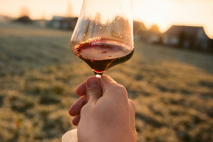 Life goes better with wine